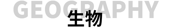 西安佳成補(bǔ)習(xí)學(xué)校_西安高考補(bǔ)習(xí),西安初三補(bǔ)習(xí),高三全日制補(bǔ)習(xí),初三全日制補(bǔ)習(xí),高三復(fù)讀補(bǔ)習(xí)學(xué)校